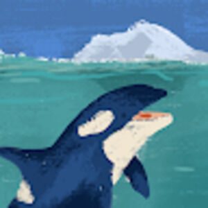 Meet your Posher, Kathy kay